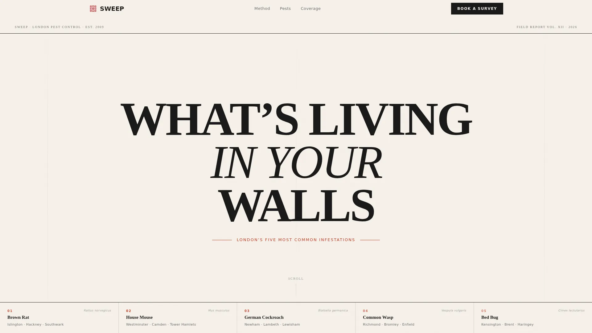 Authoritative Pestcontrol | Free Website Template | Rocket