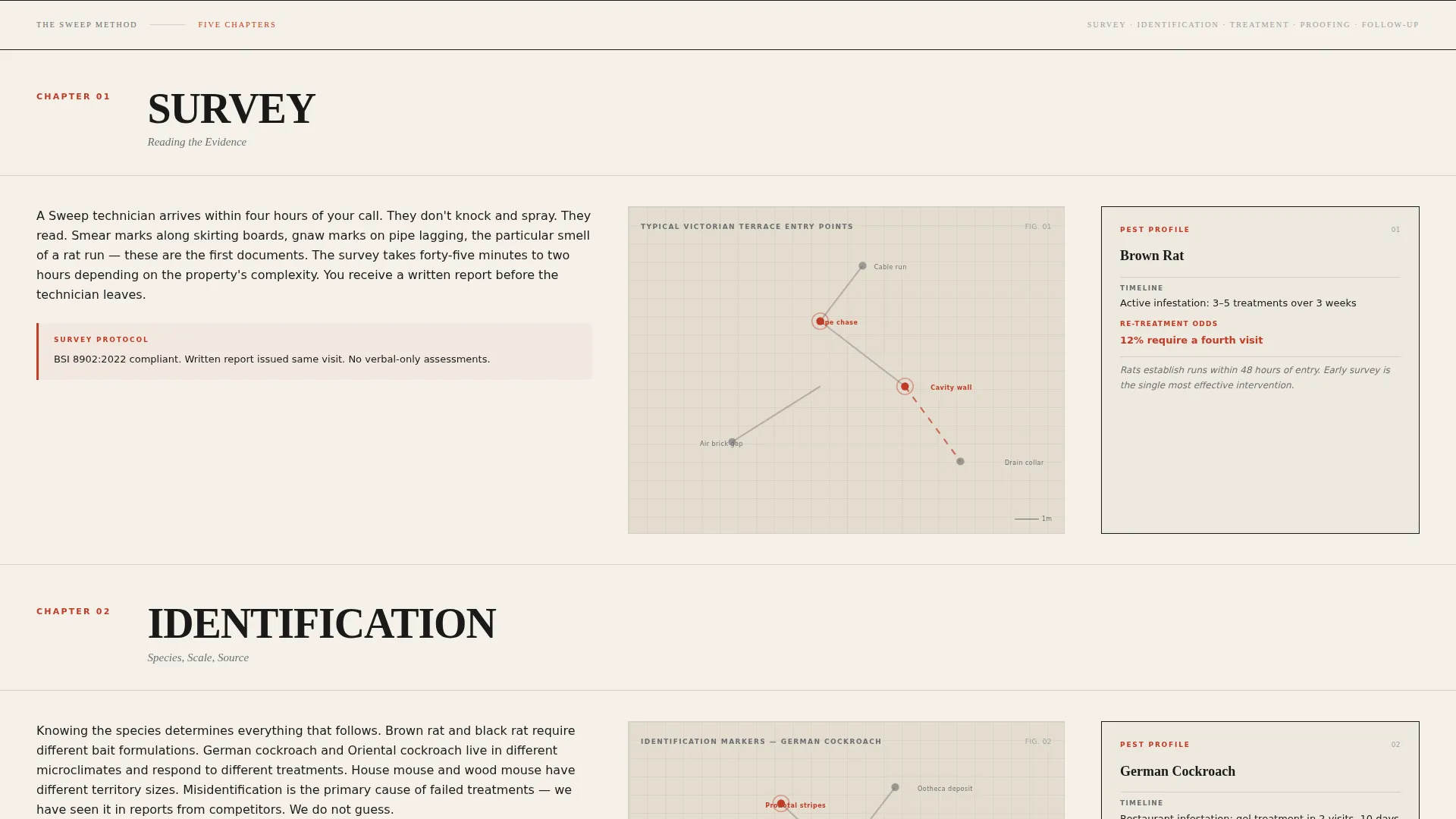 Authoritative Pestcontrol | Free Website Template | Rocket