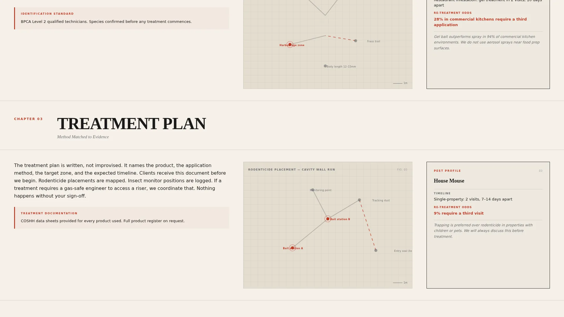 Authoritative Pestcontrol | Free Website Template | Rocket