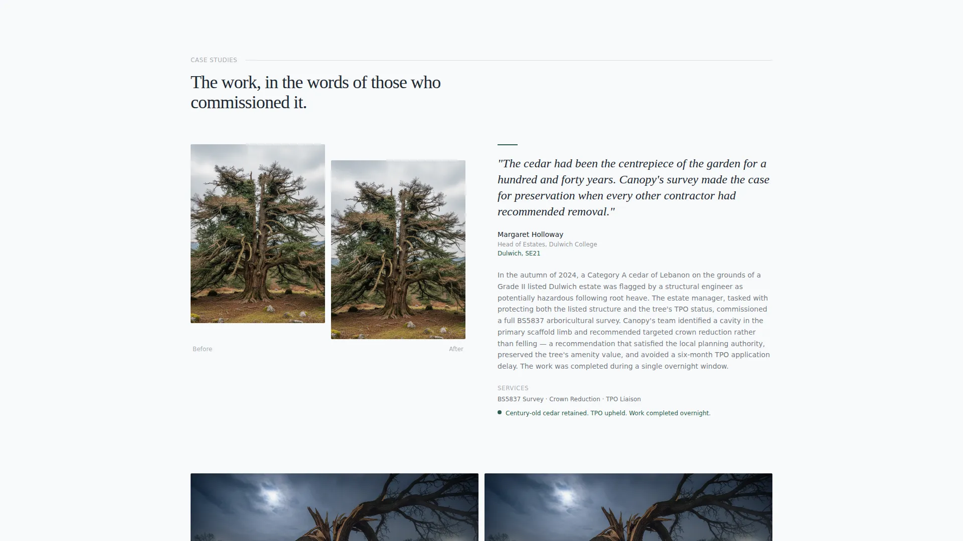 Elite Arborist | Free Website Template | Rocket