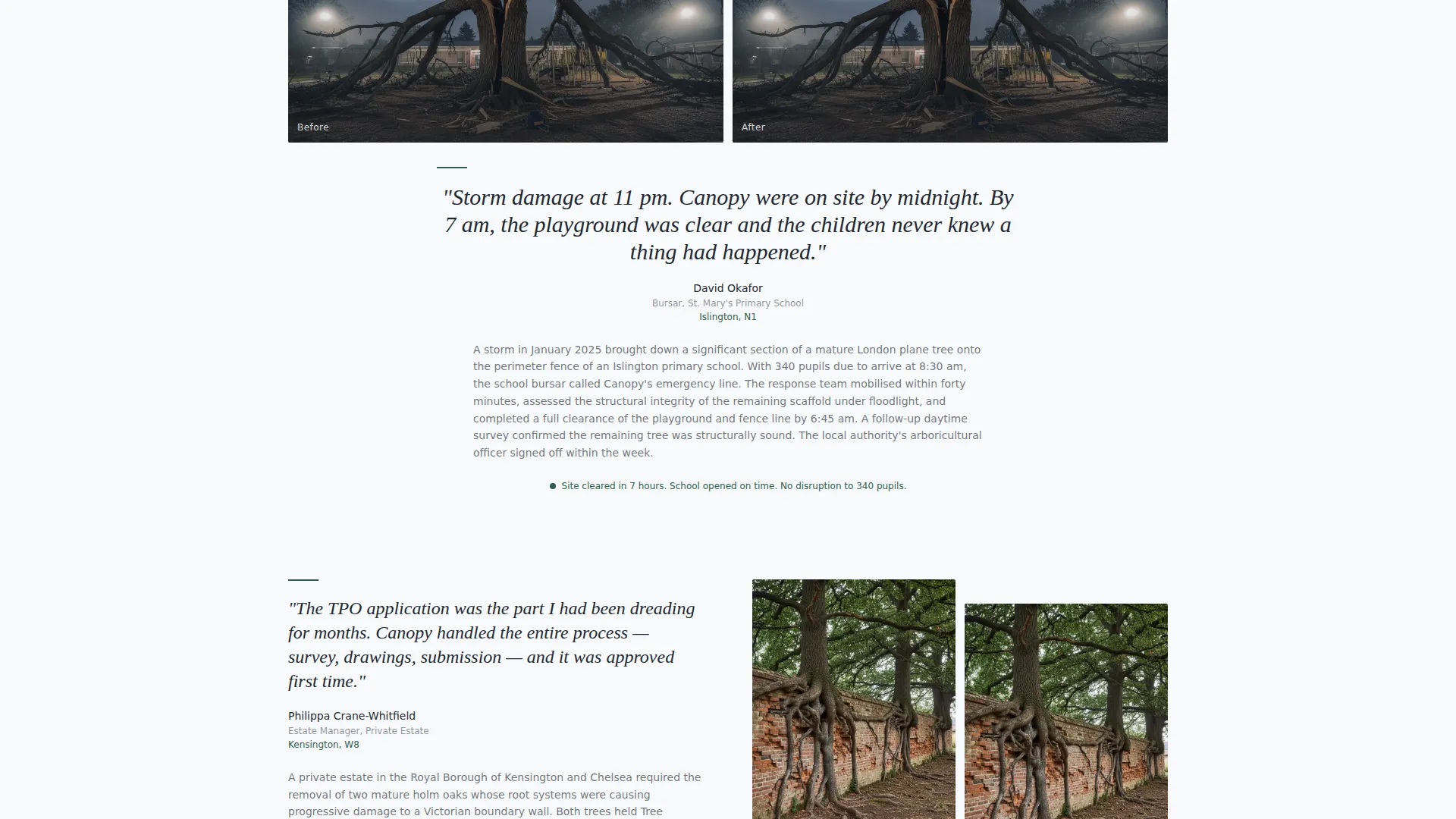 Elite Arborist | Free Website Template | Rocket