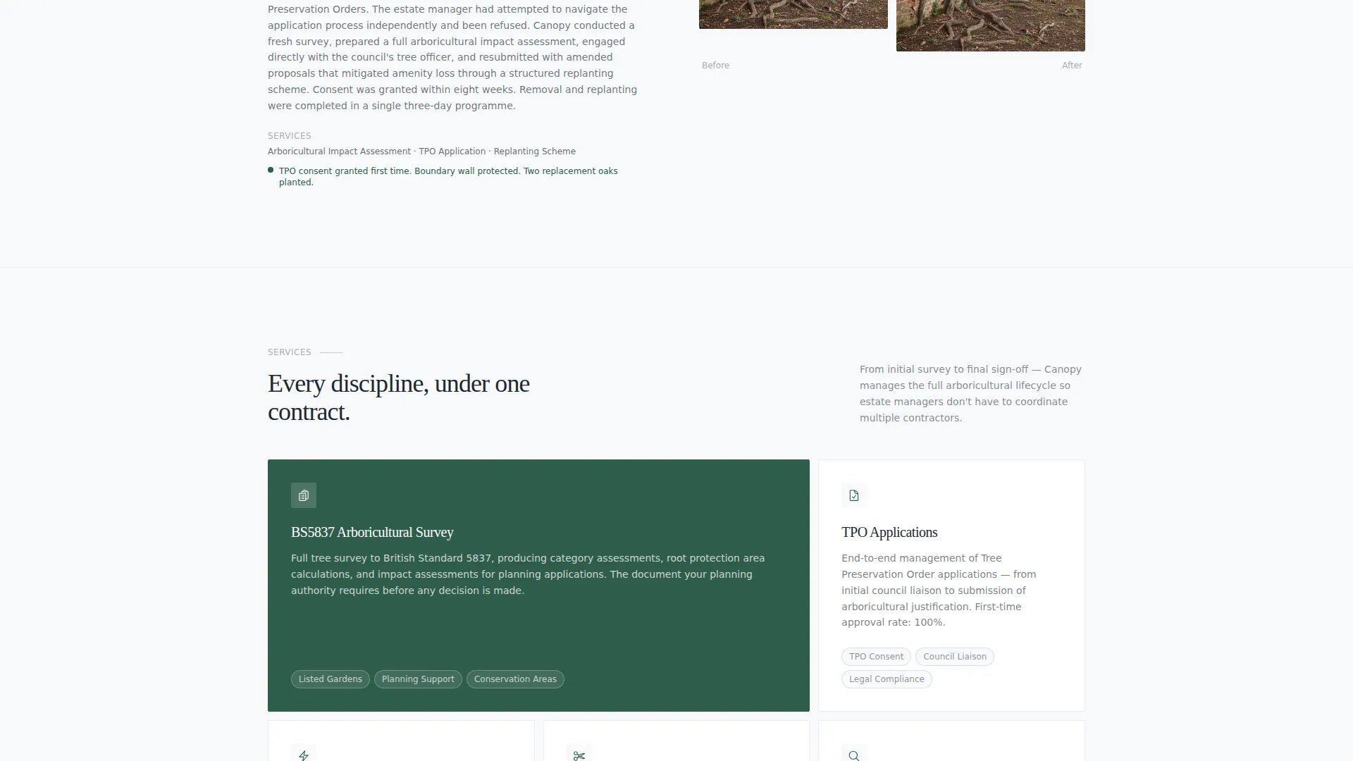 Elite Arborist | Free Website Template | Rocket