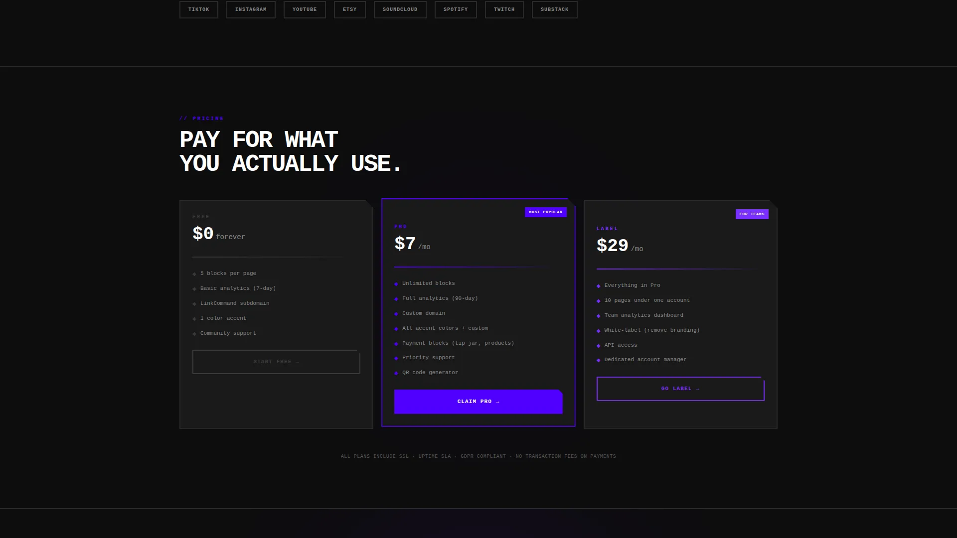 Brutalist Bio Link Landing Page Template