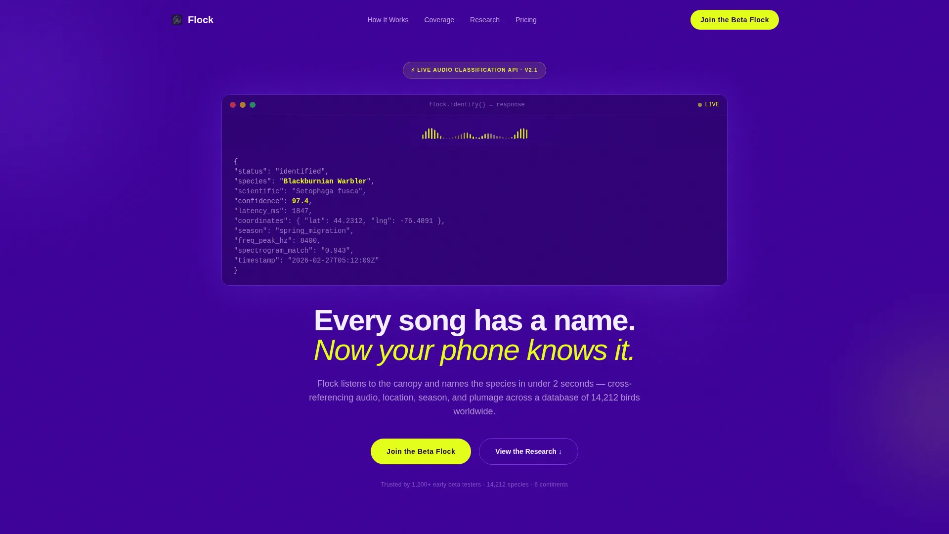 Bird ID App Landing Page Template | Electric Indigo