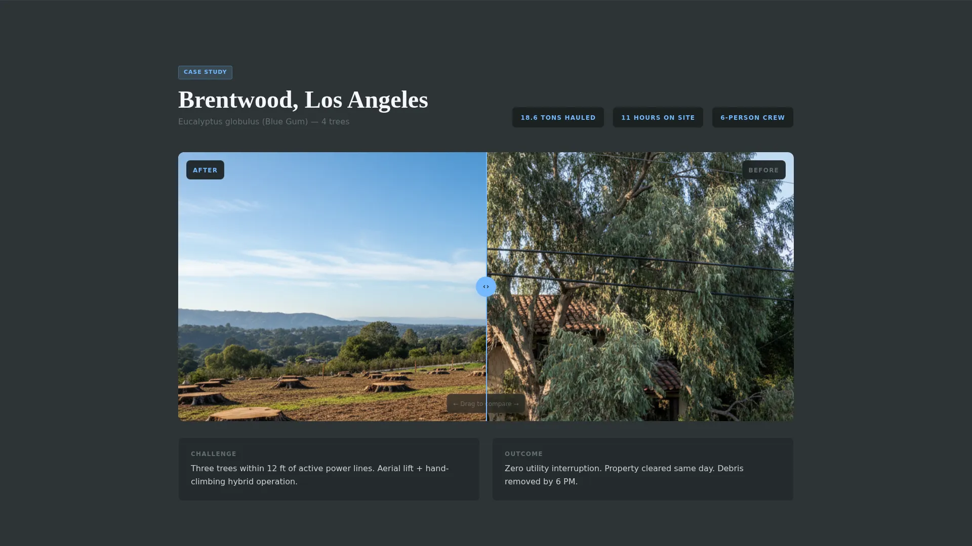 Certified Tree Care | Free Website Template | Rocket