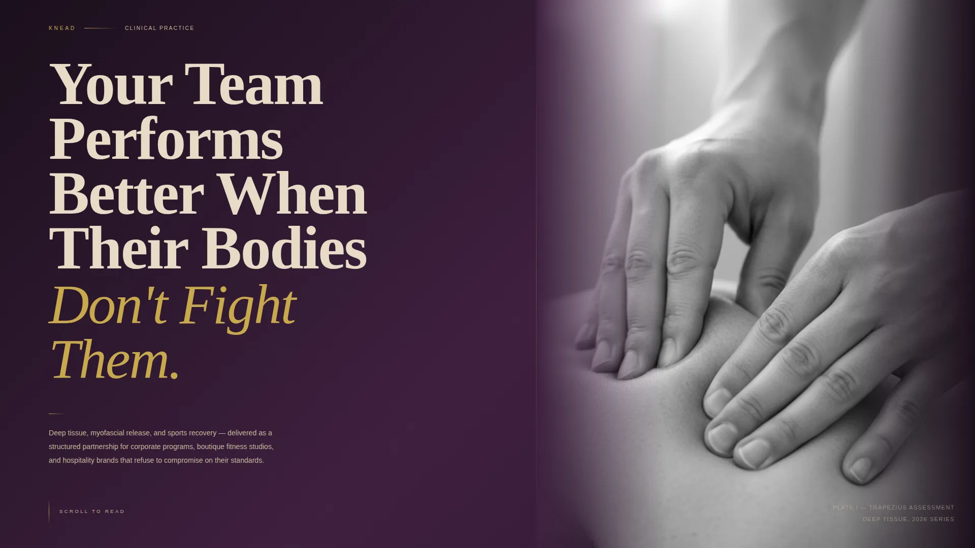 Massage Therapist Directory Website Template