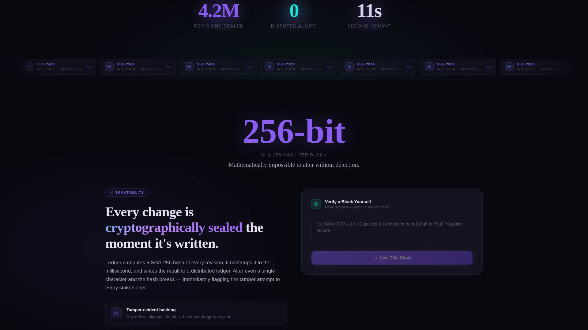 Blockchain-Based Enterprise Software Specialist Privacy Policy Website Template