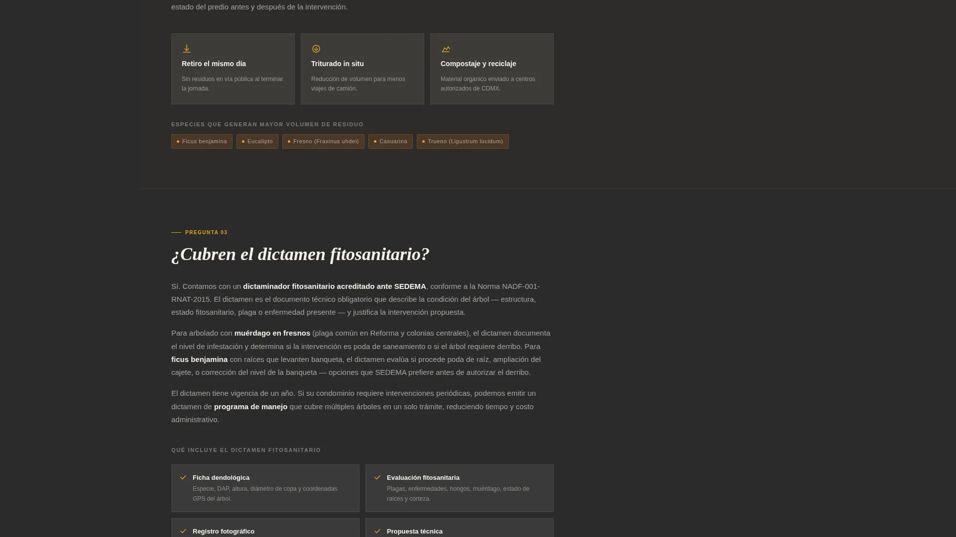 Precision Arborist Landing Page Template