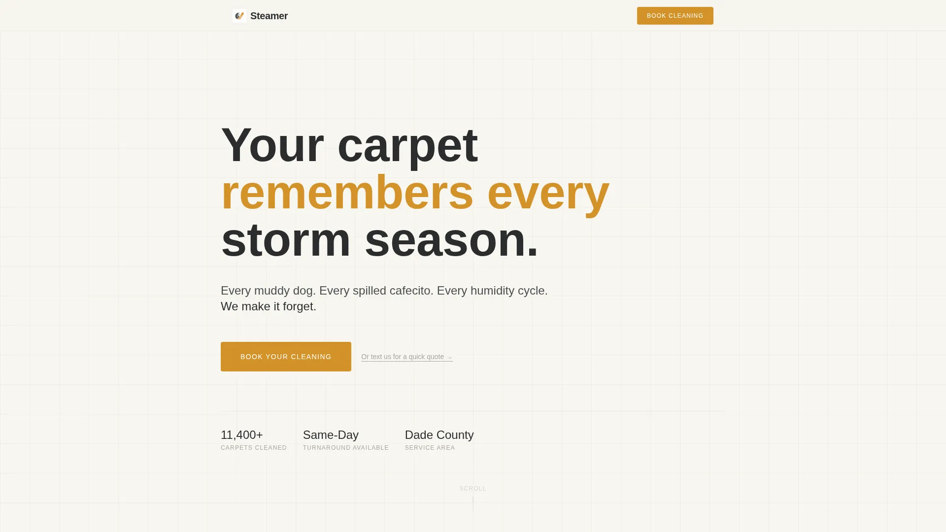 Professional Carpetcleaning | Free Website Template | Rocket