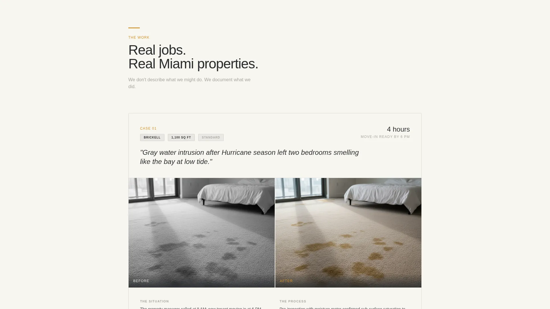 Professional Carpetcleaning | Free Website Template | Rocket