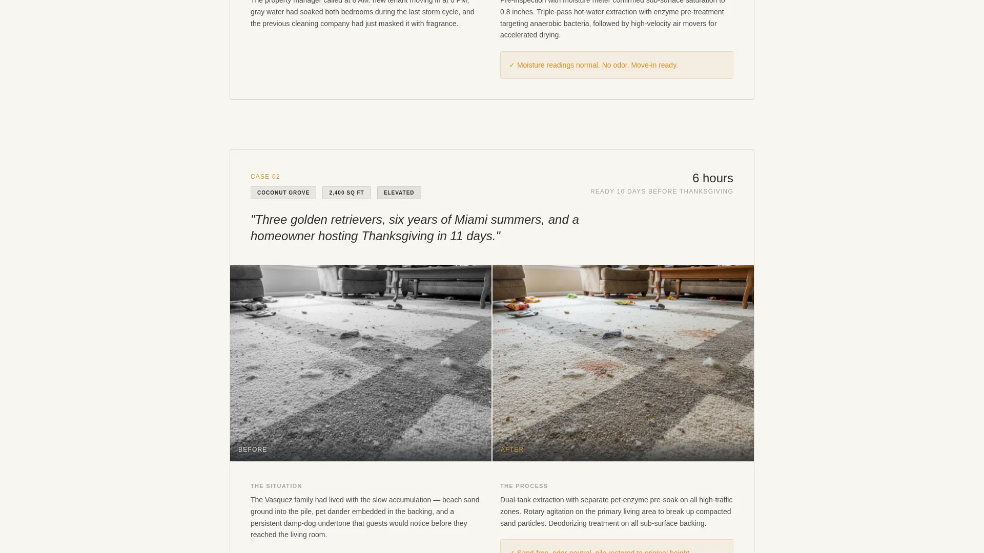 Professional Carpetcleaning | Free Website Template | Rocket