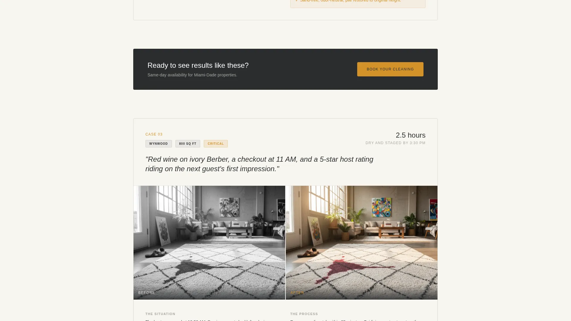 Professional Carpetcleaning | Free Website Template | Rocket