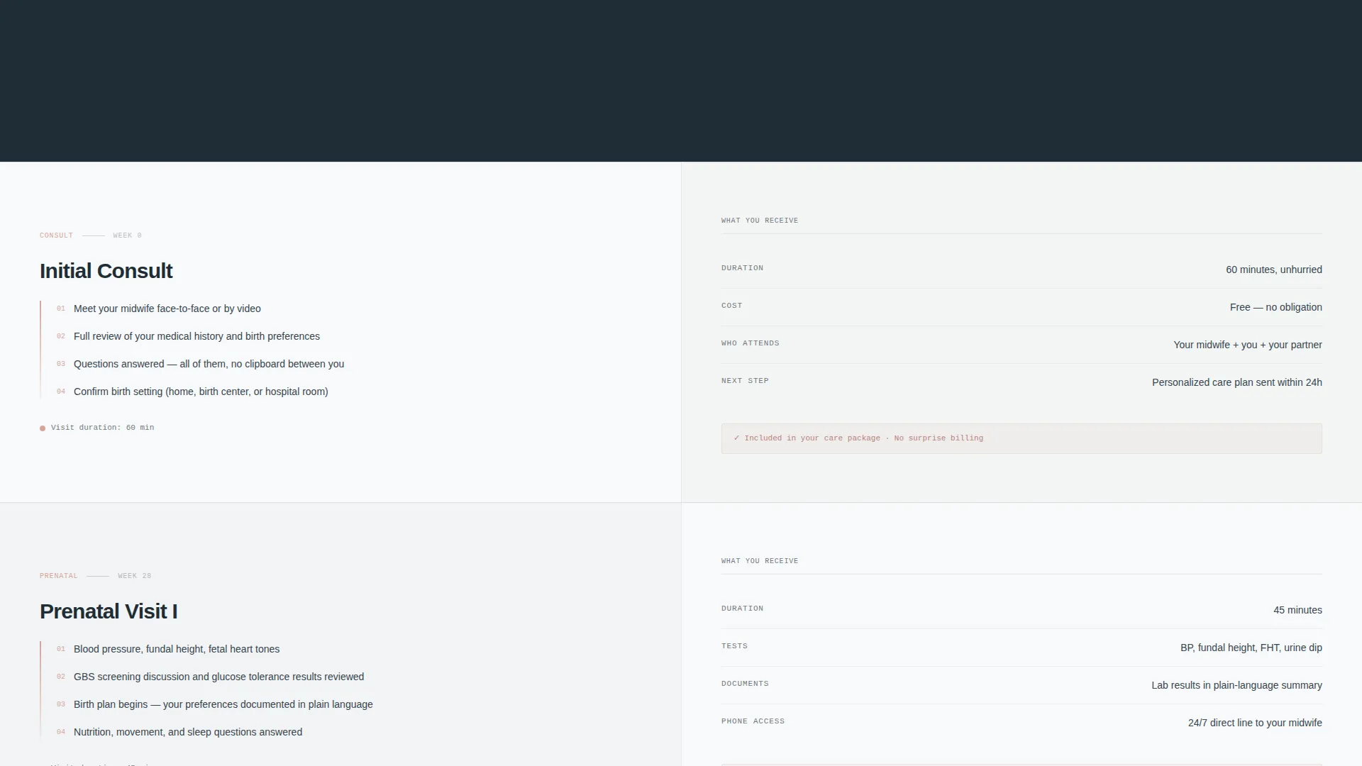 Transparent Midwife Landing Page Template