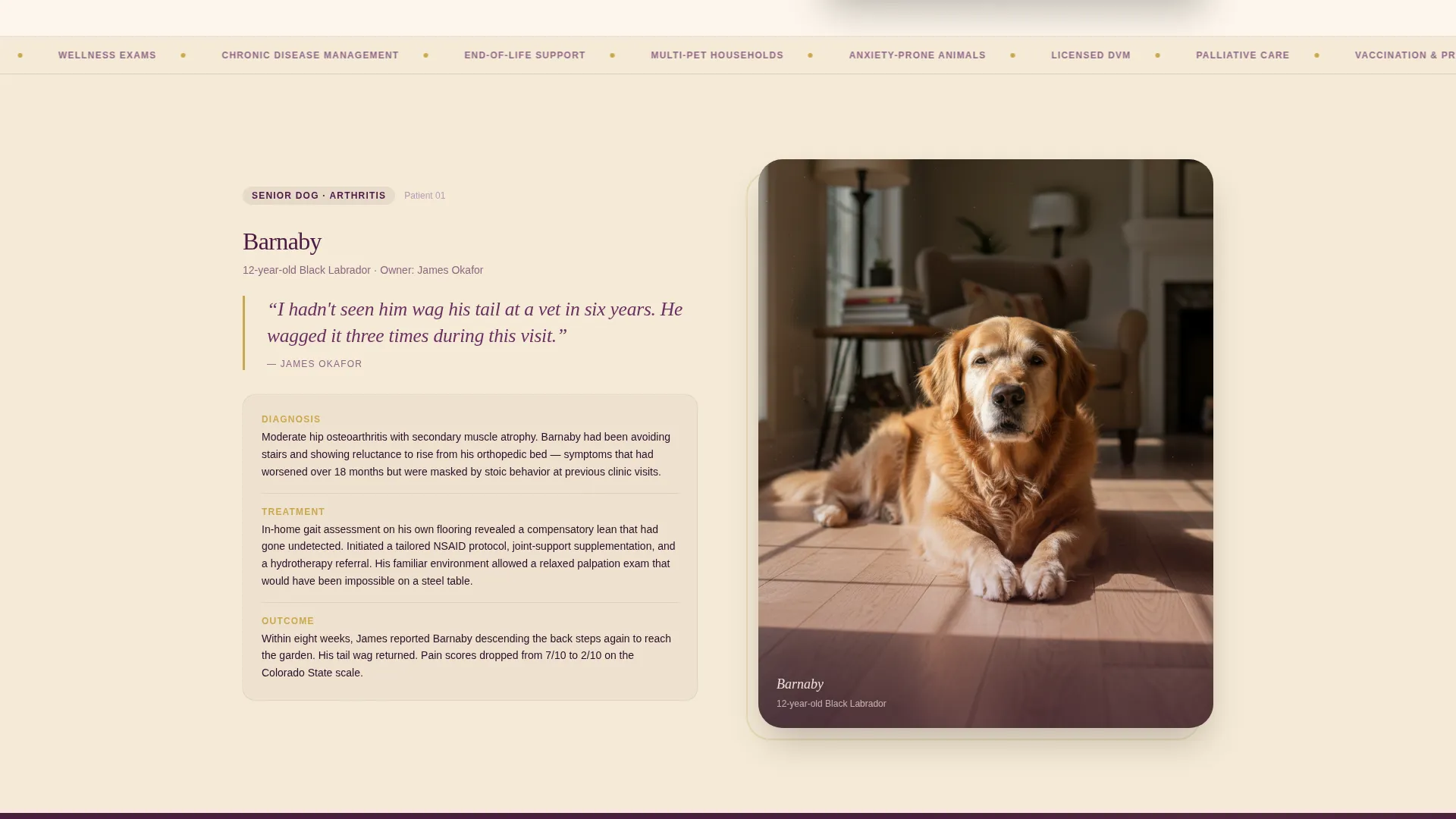 Mobile Vet Landing Page Template | Editorial Style