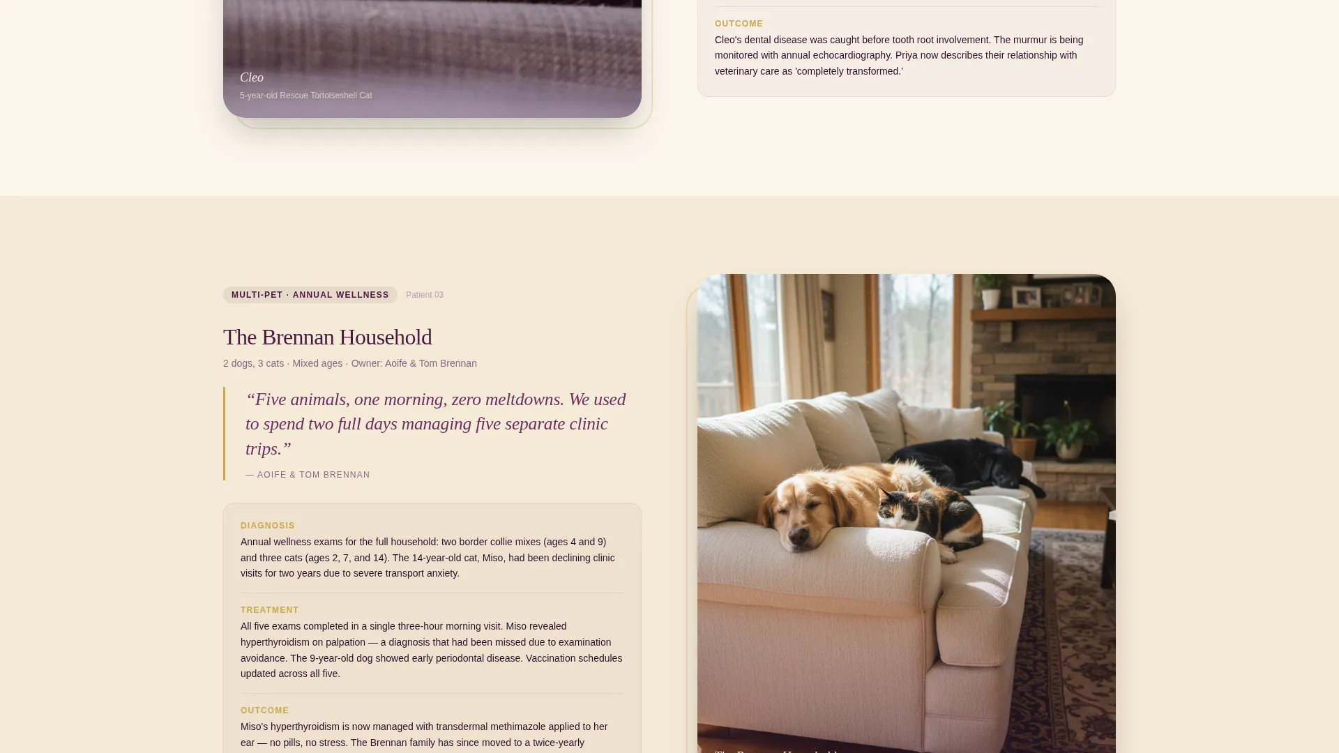 Mobile Vet Landing Page Template | Editorial Style