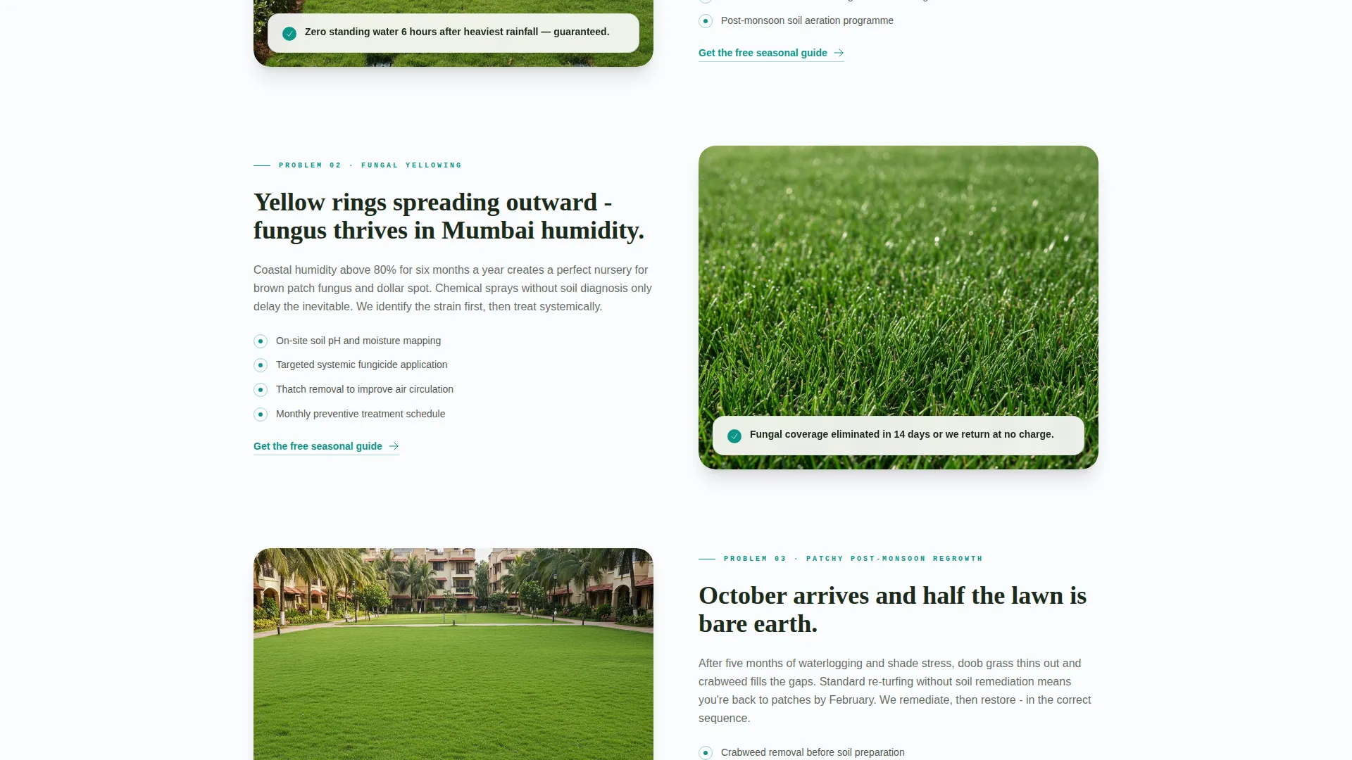 Mumbai Lawn Care Service Landing Page Template