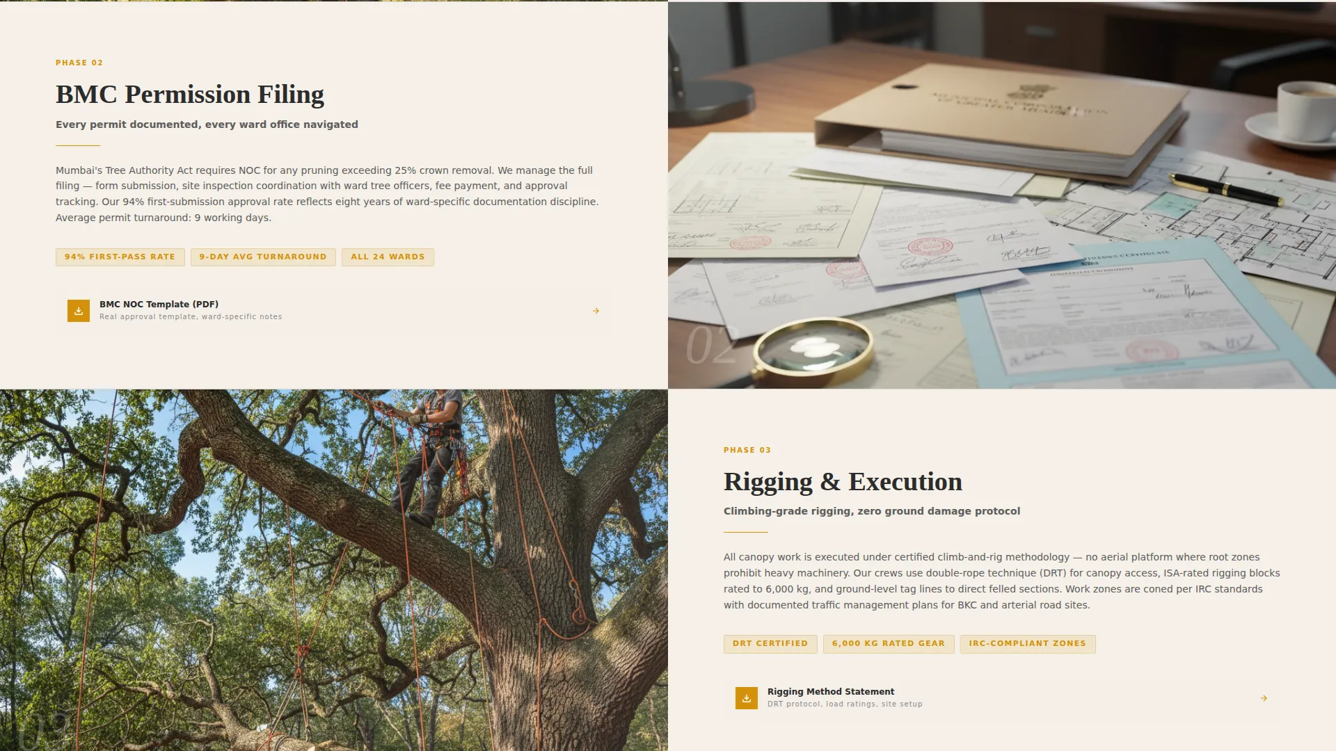 Arborist Landing Page Template for Professional Tree Services