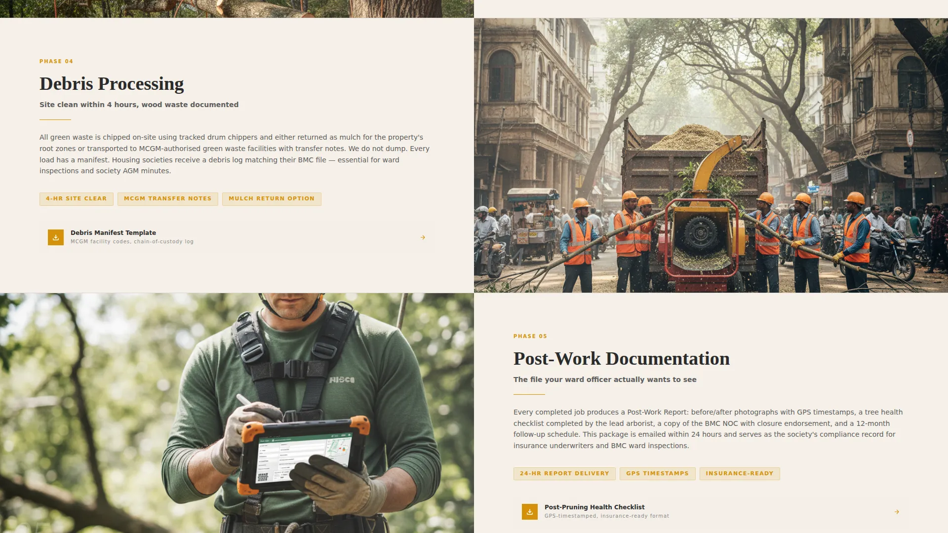 Arborist Landing Page Template for Professional Tree Services