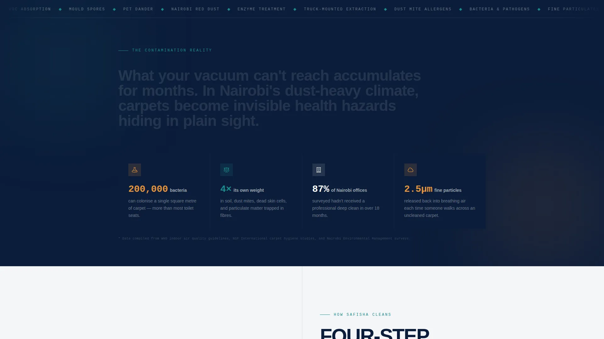Authoritative Carpetcleaning | Free Website Template | Rocket