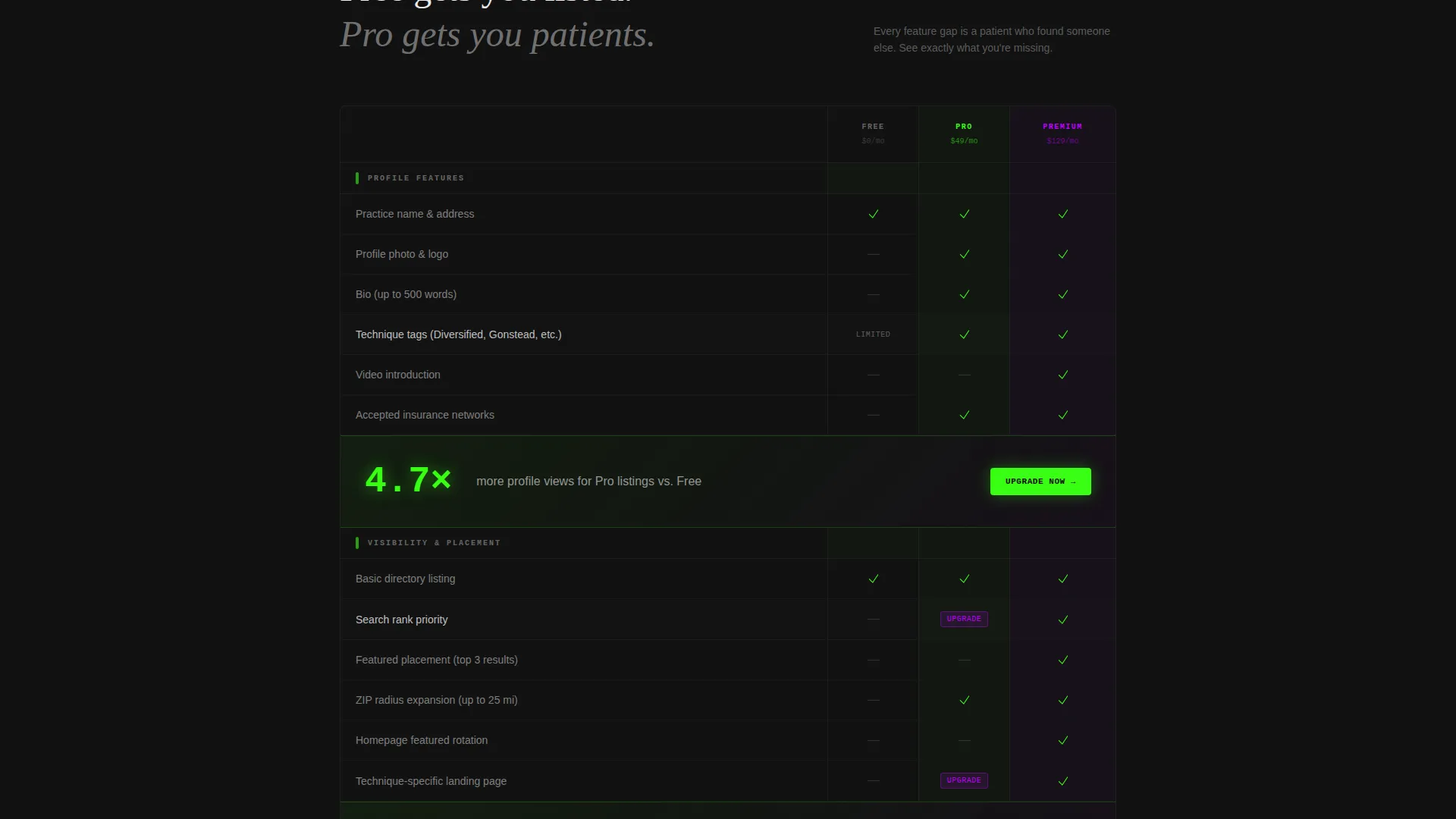 Chiropractic Directory Listing Landing Page Template
