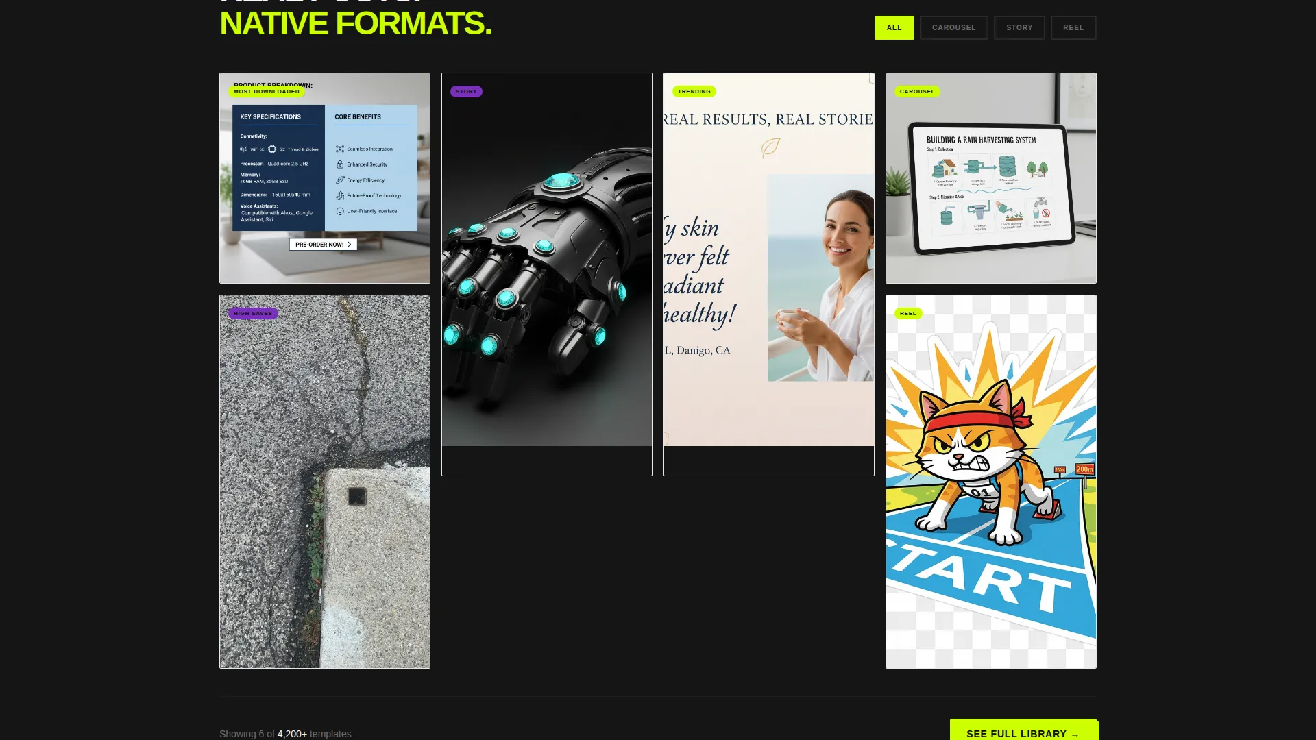 Bold Chiropractic Social Media Landing Page Template