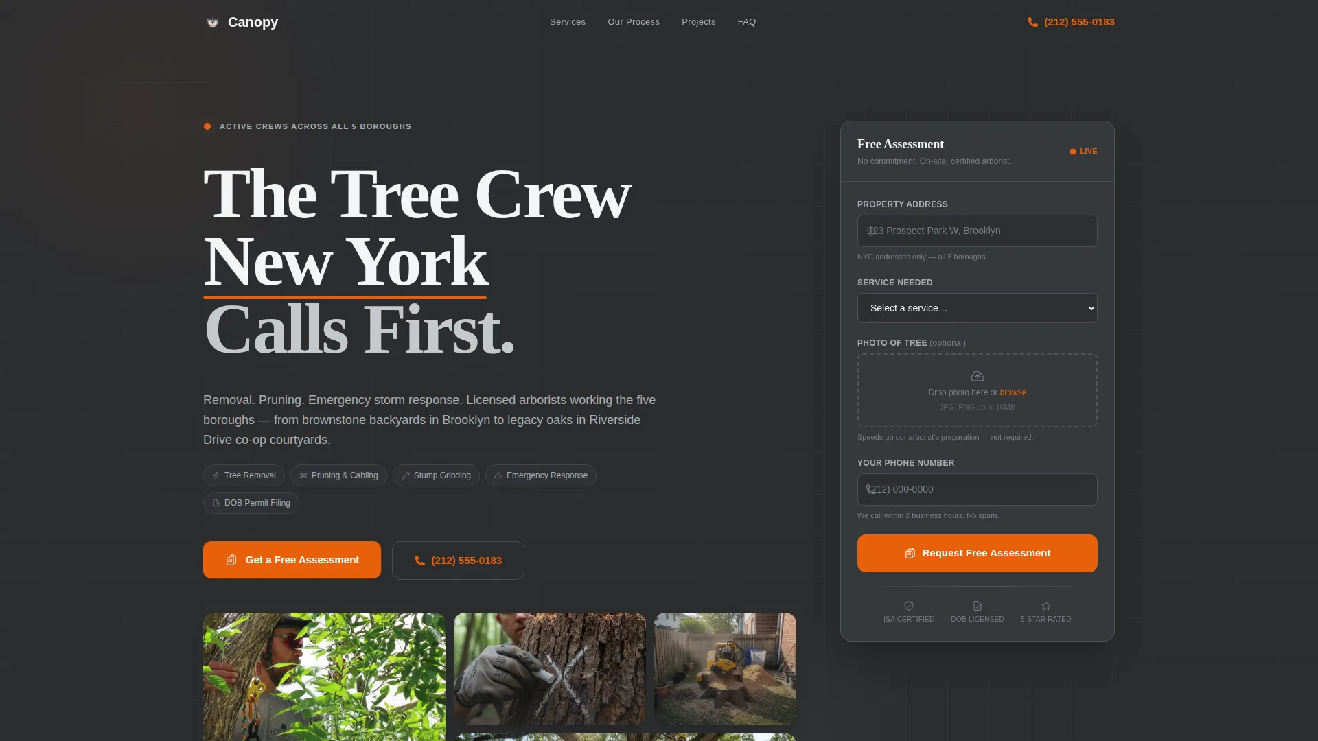 Professional Forestry Management | Free Website Template | Rocket
