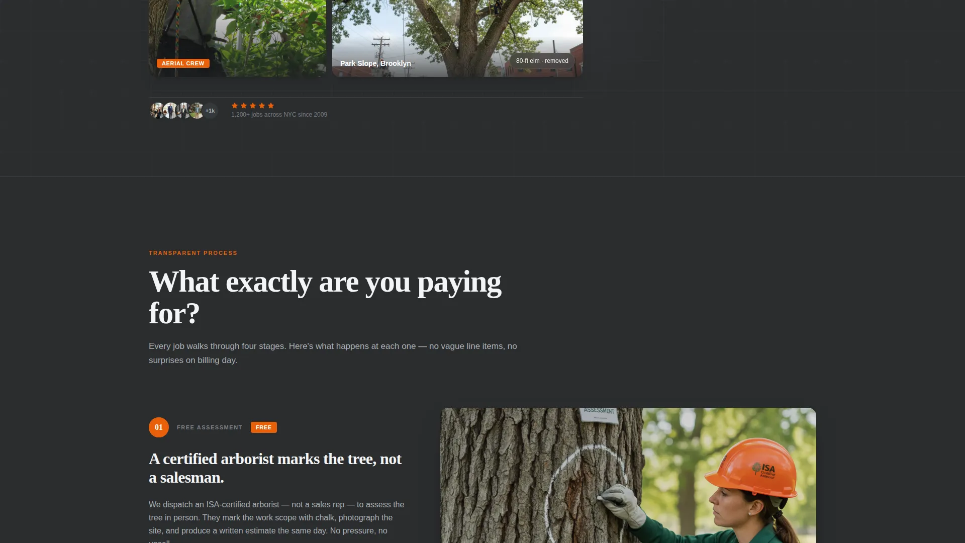 Professional Forestry Management | Free Website Template | Rocket