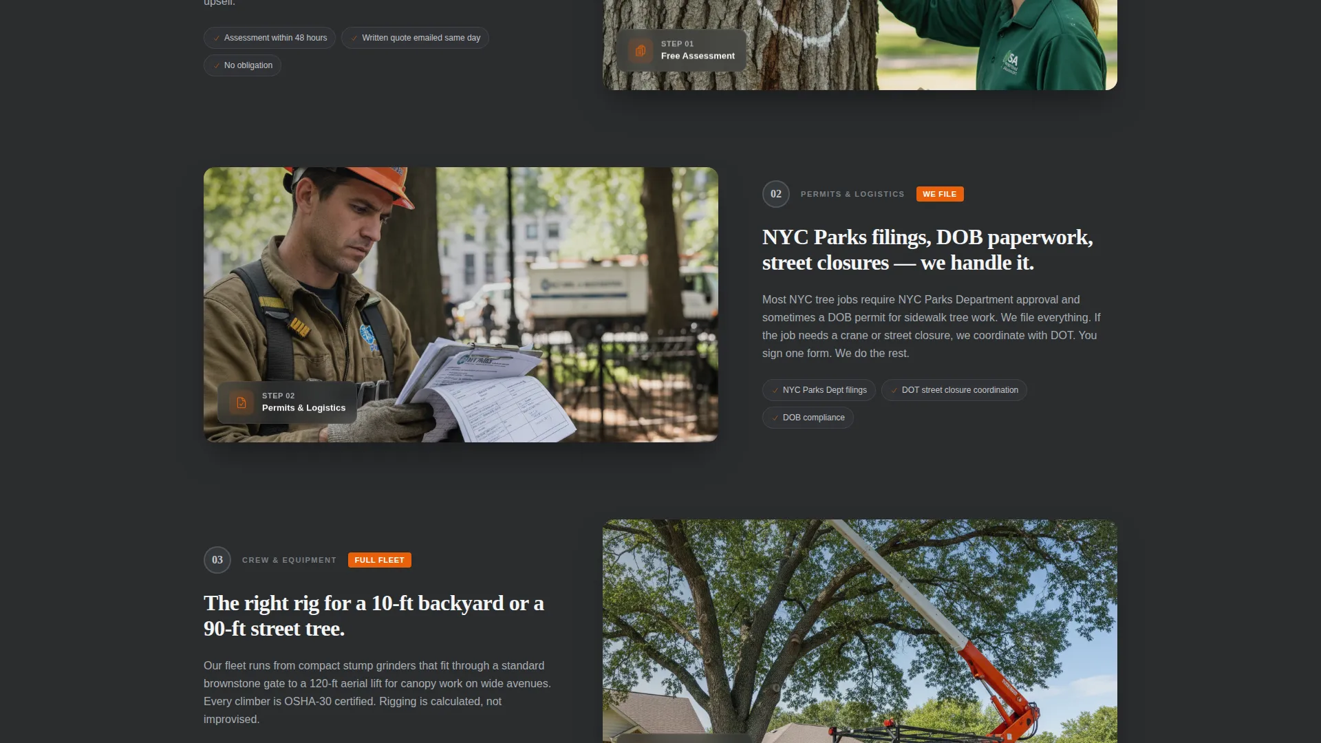 Professional Forestry Management | Free Website Template | Rocket