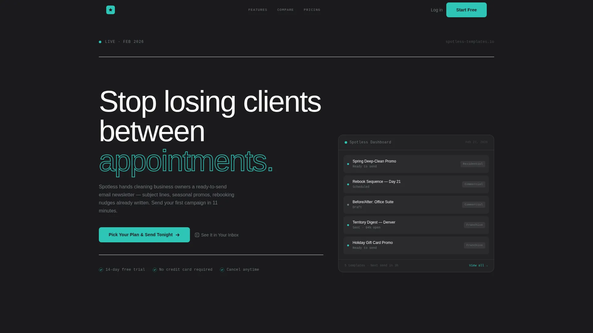 Cleaning Service Email Newsletter Landing Page