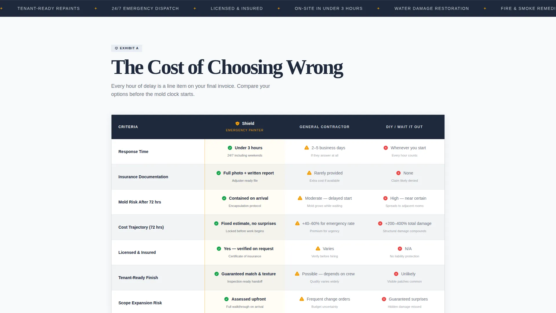 Emergency Painter Landing Page Template