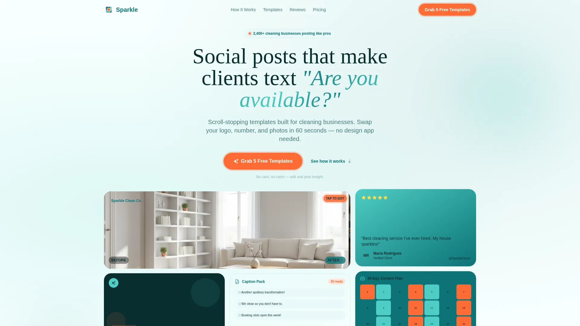 Cleaning Service Digital Presence Reviews Website Template