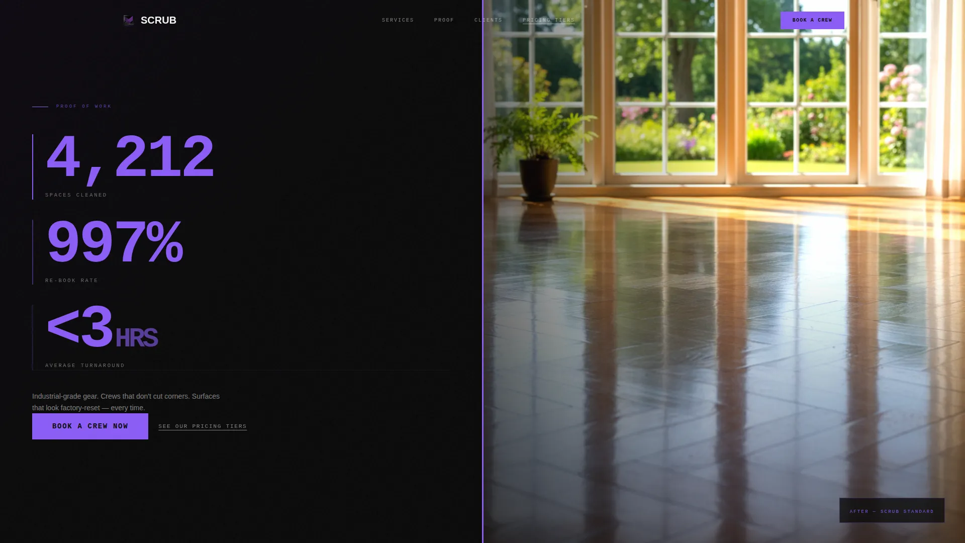 Minimalist Cleaning Landing Page Template