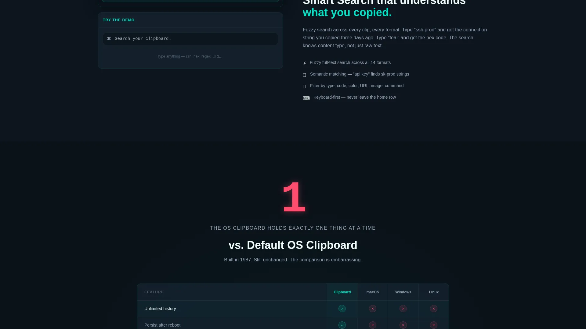 Micro-SaaS & Developer Tools Expert Professional Website Template