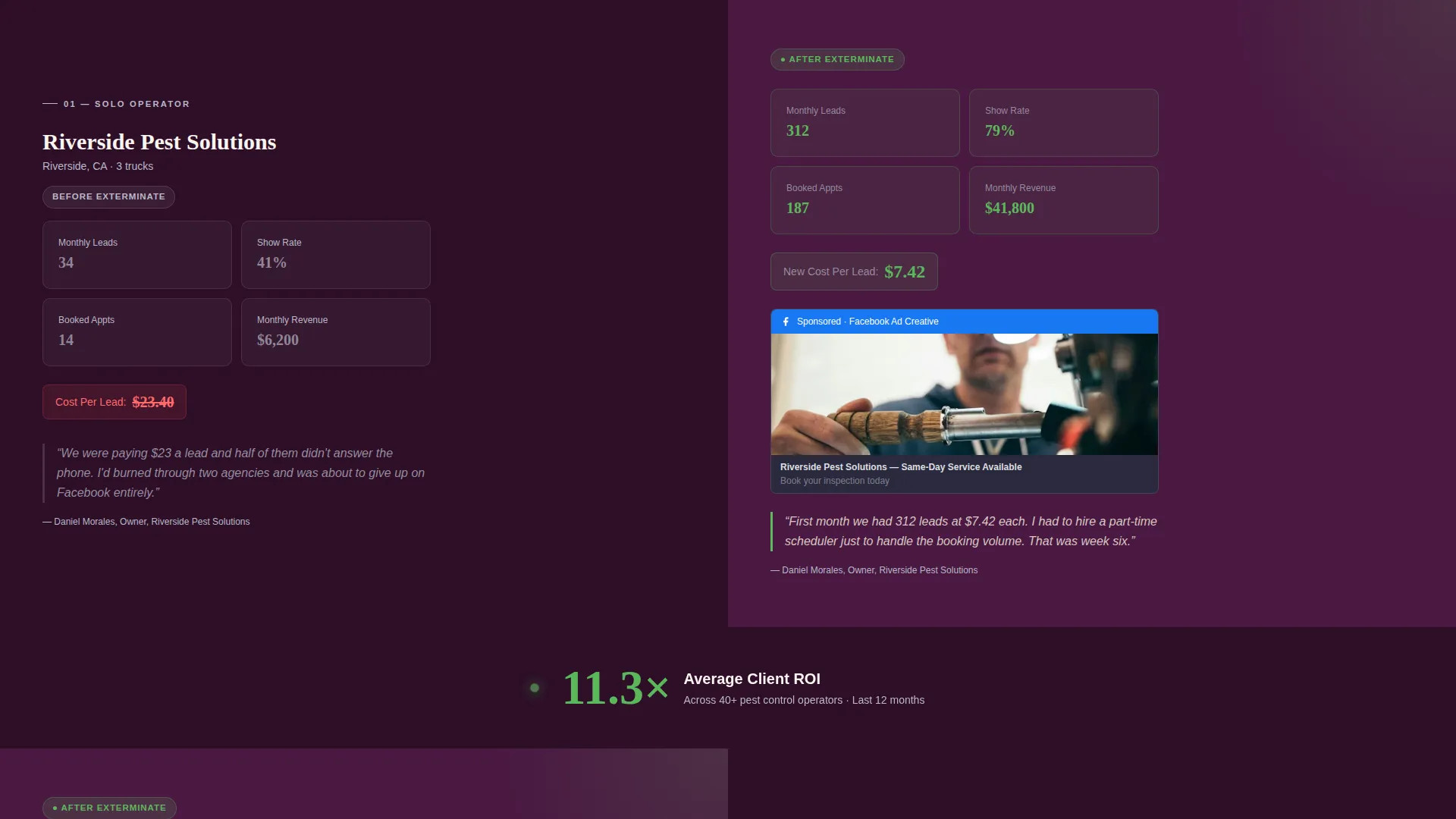 Pest Control Facebook Ads Landing Page Template