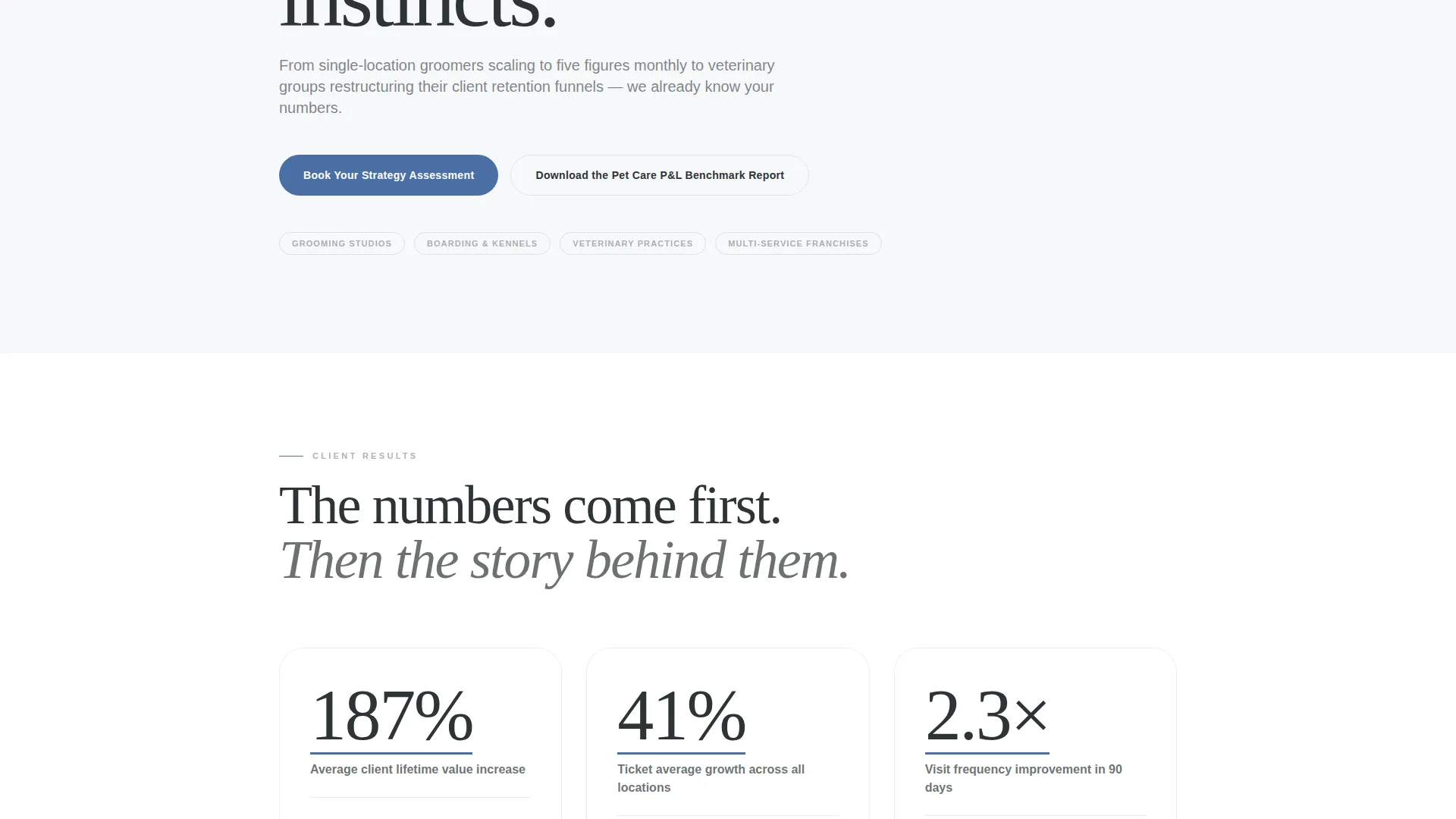 Pet Care Strategy Consultant Landing Page Template