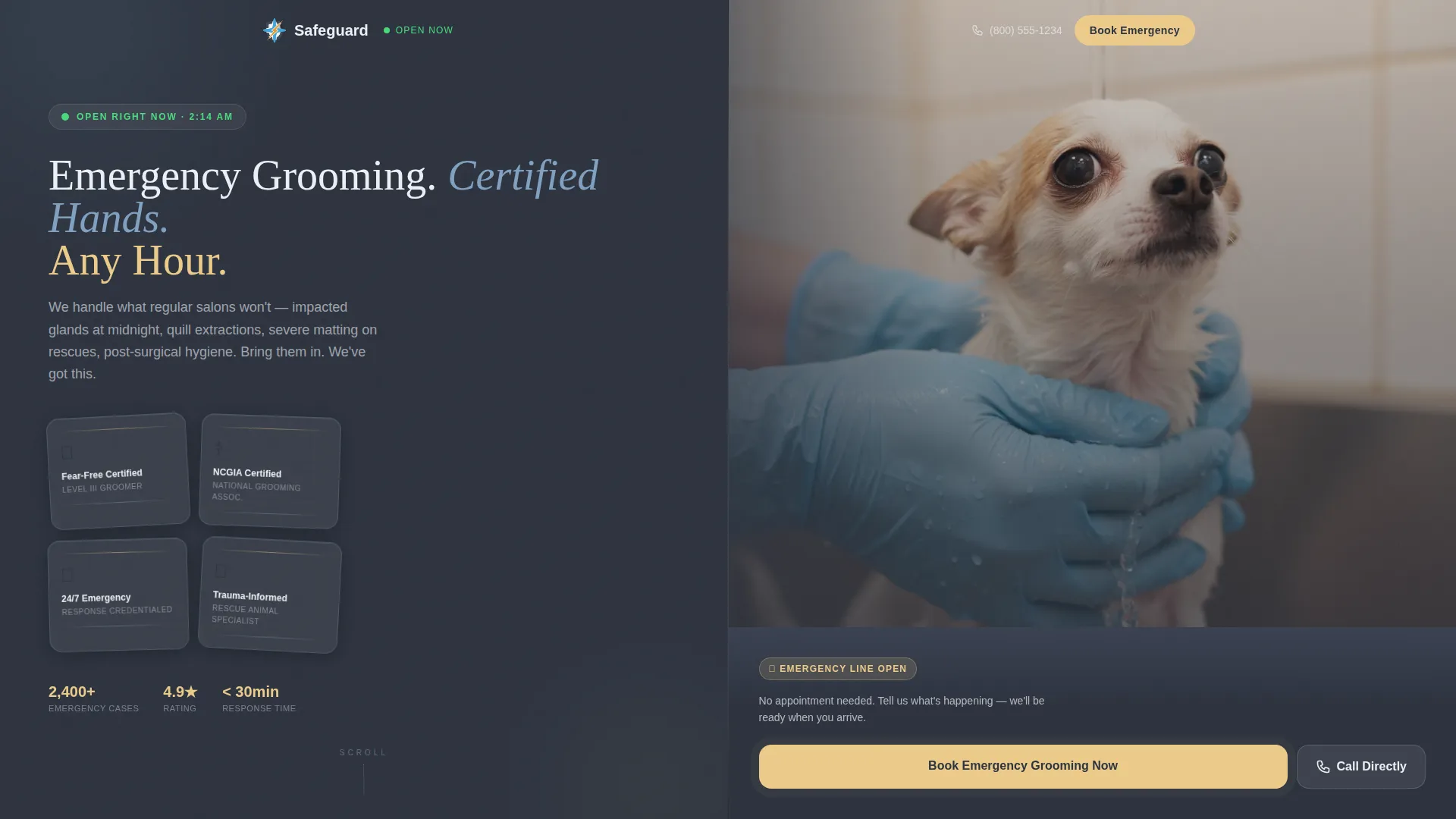 Emergency Pet Grooming Landing Page Template
