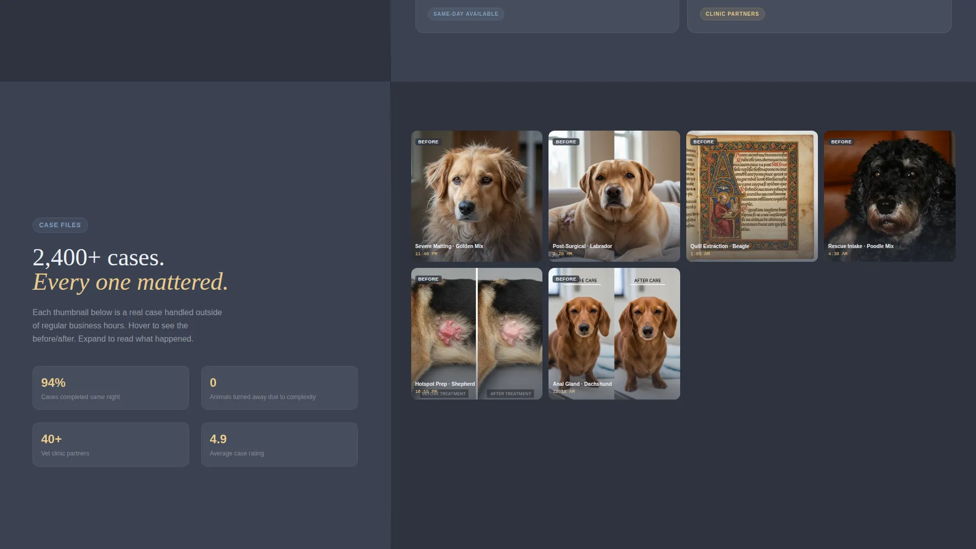 Emergency Pet Grooming Landing Page Template