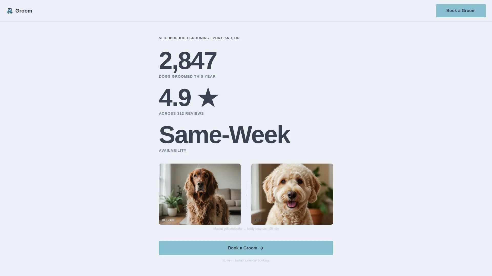 Pet Groomer Landing Page Template for Facebook Ads