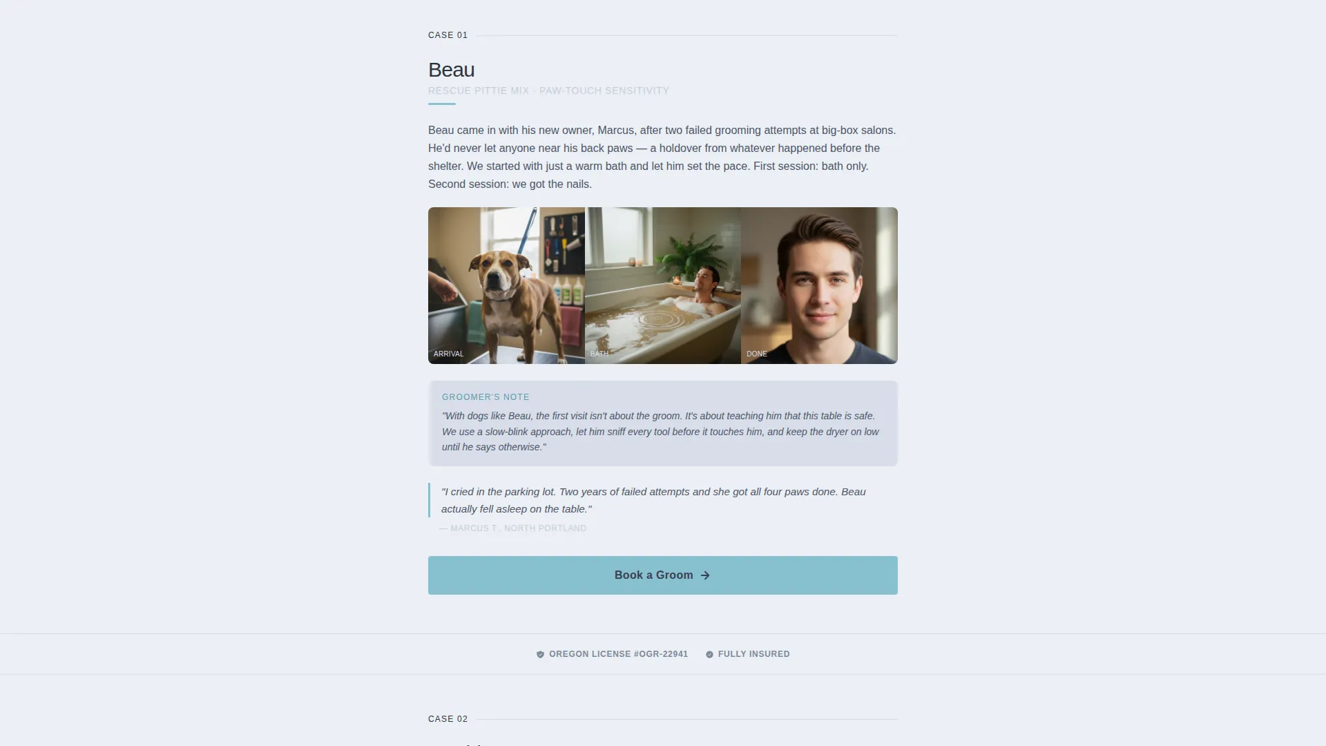 Pet Groomer Landing Page Template for Facebook Ads