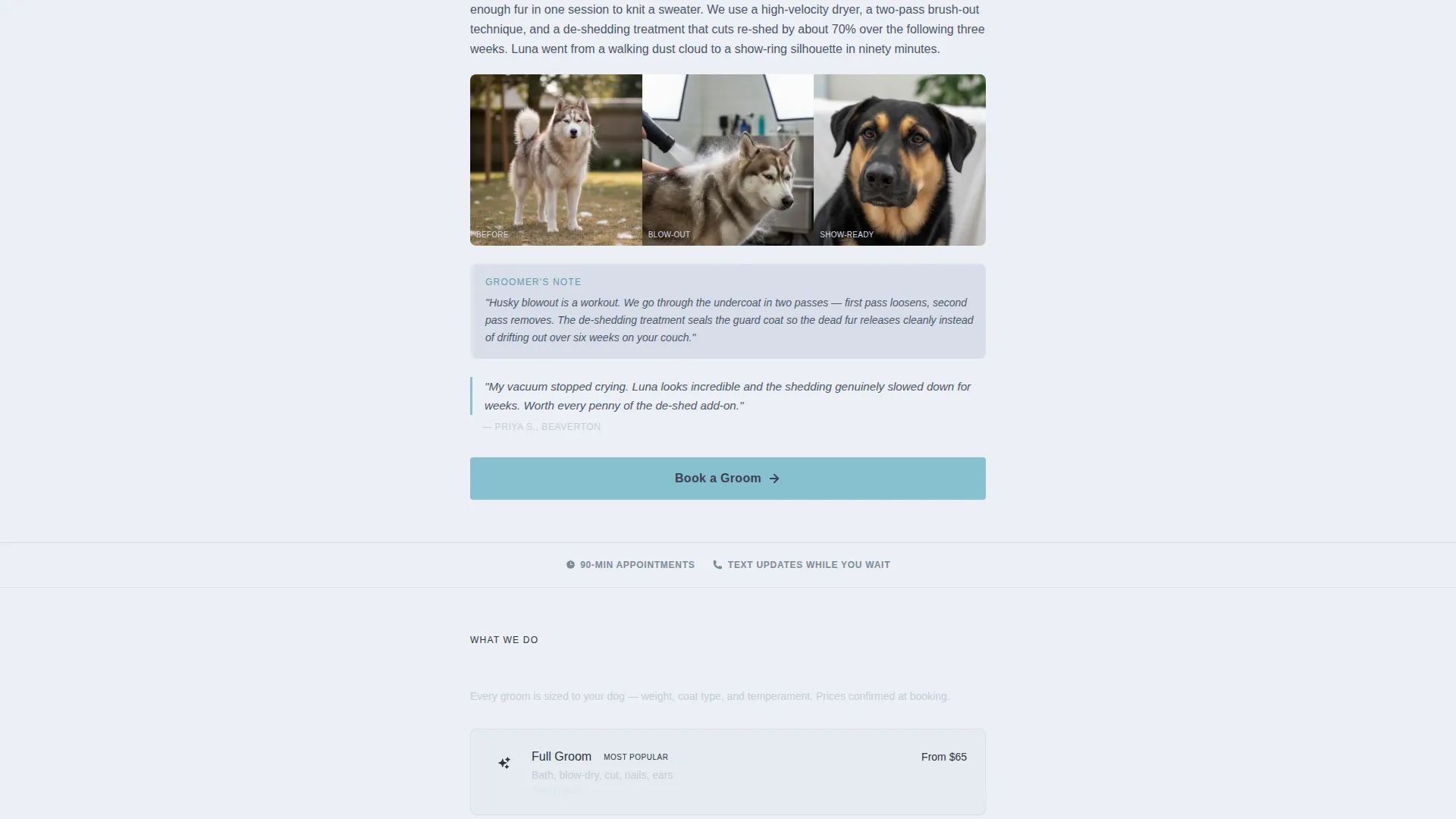 Pet Groomer Landing Page Template for Facebook Ads