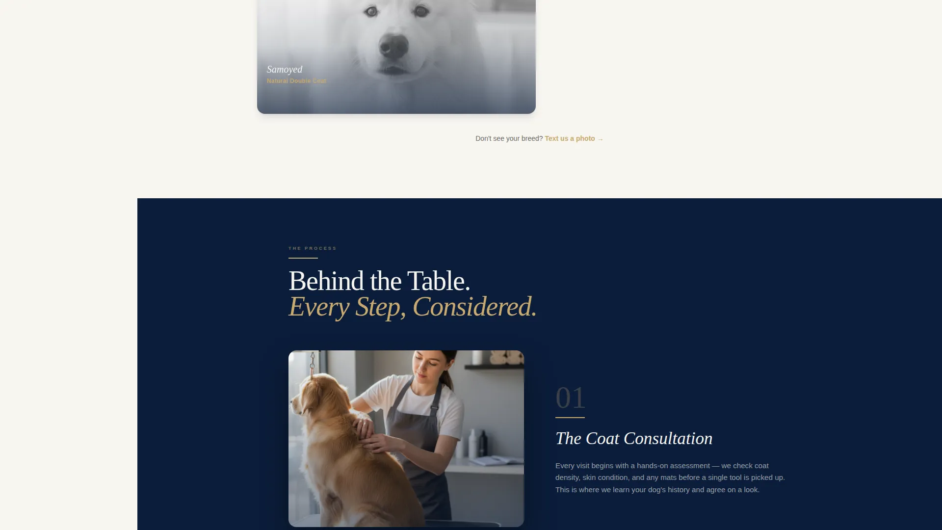 Pet Grooming Free Estimate Landing Page Template