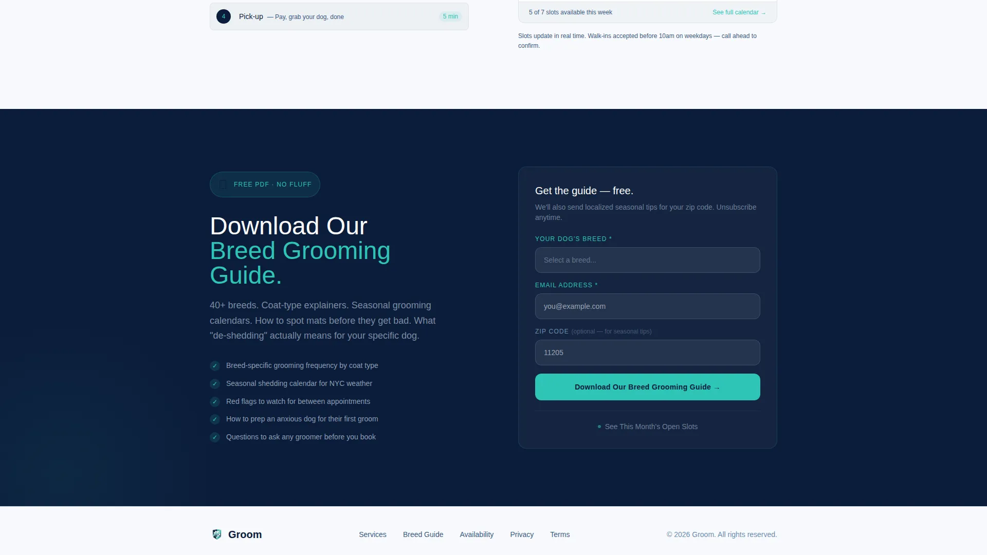 Pet Groomer Landing Page Template with Stats-First Design