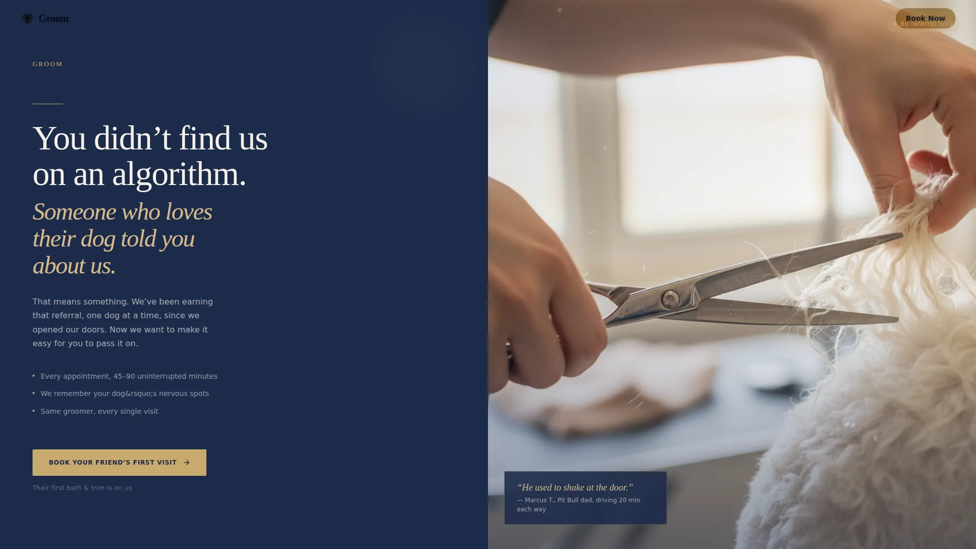 Pet Groomer Referral Landing Page Template