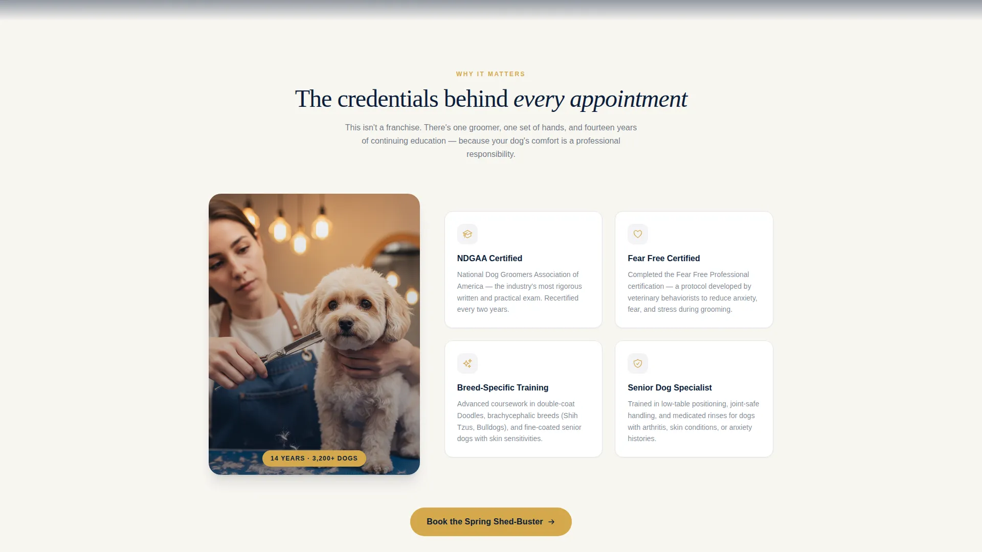 Professional Pet Care Landing Page Template