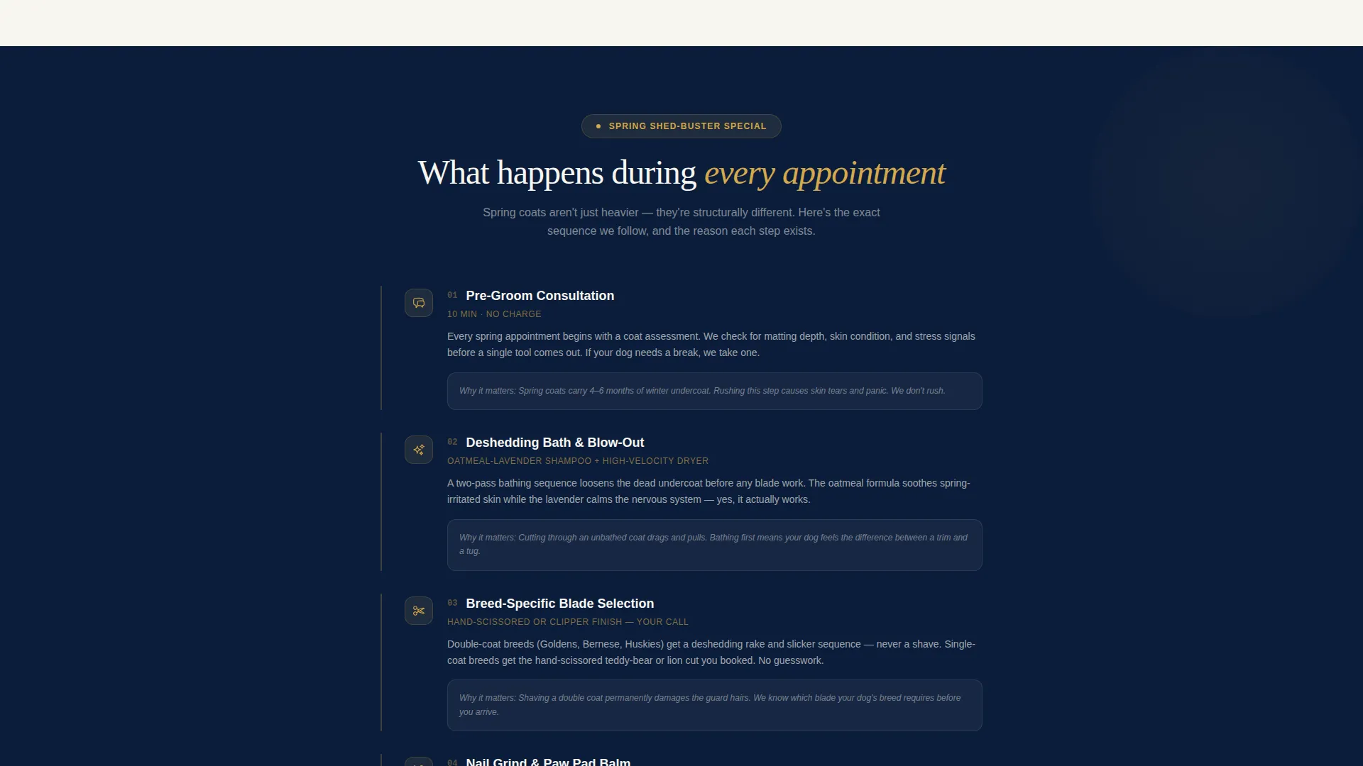 Professional Pet Care Landing Page Template