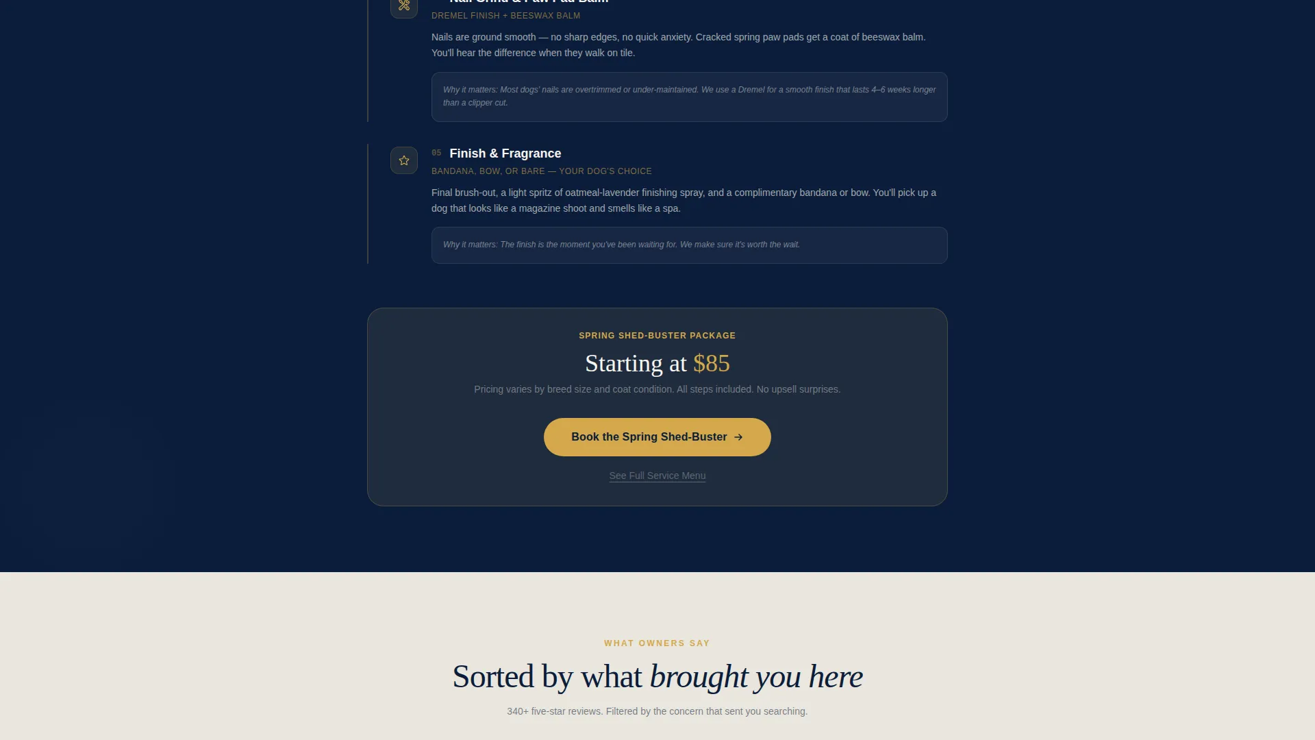 Professional Pet Care Landing Page Template
