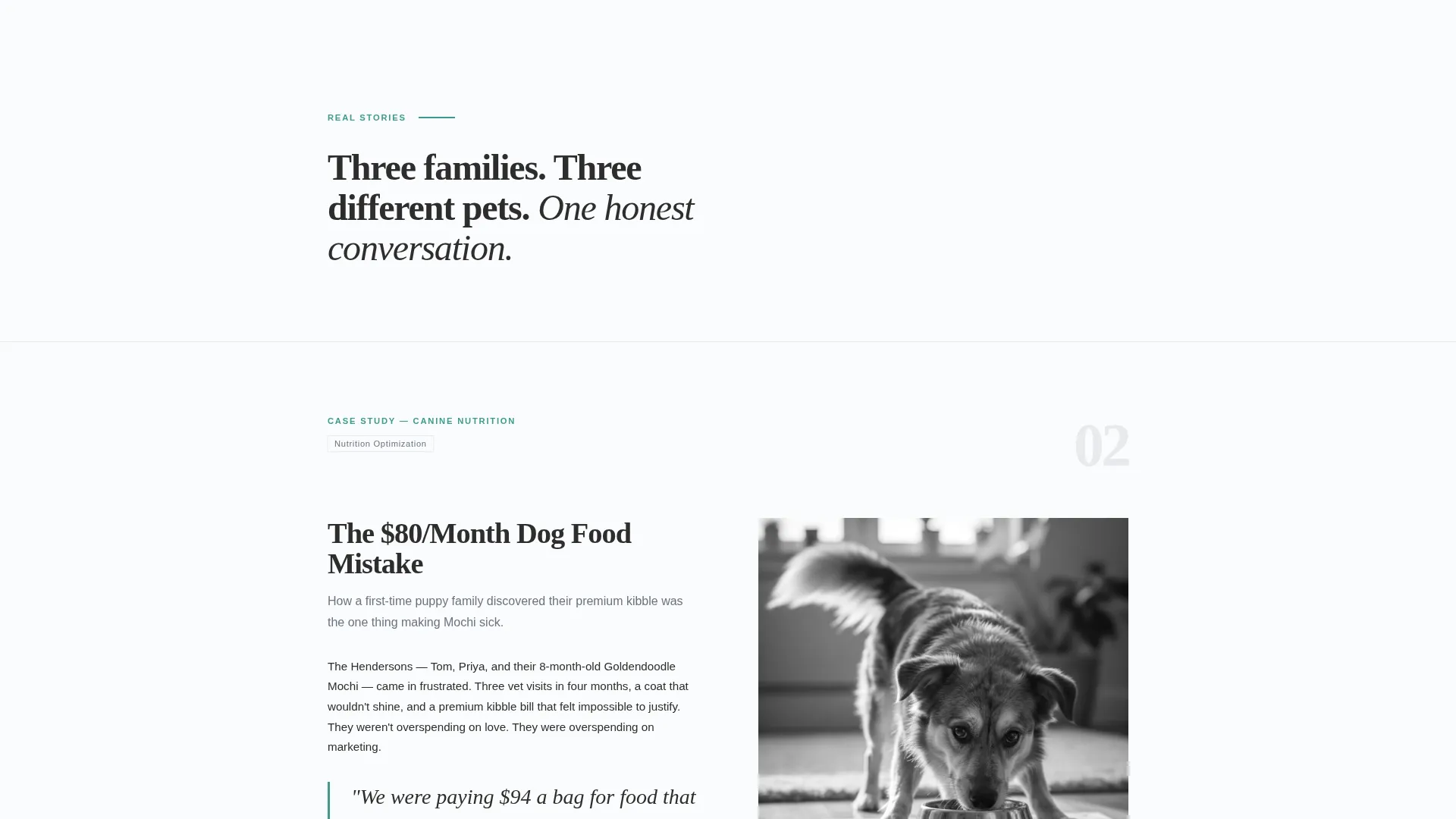 Editorial Pet Store Landing Page Template