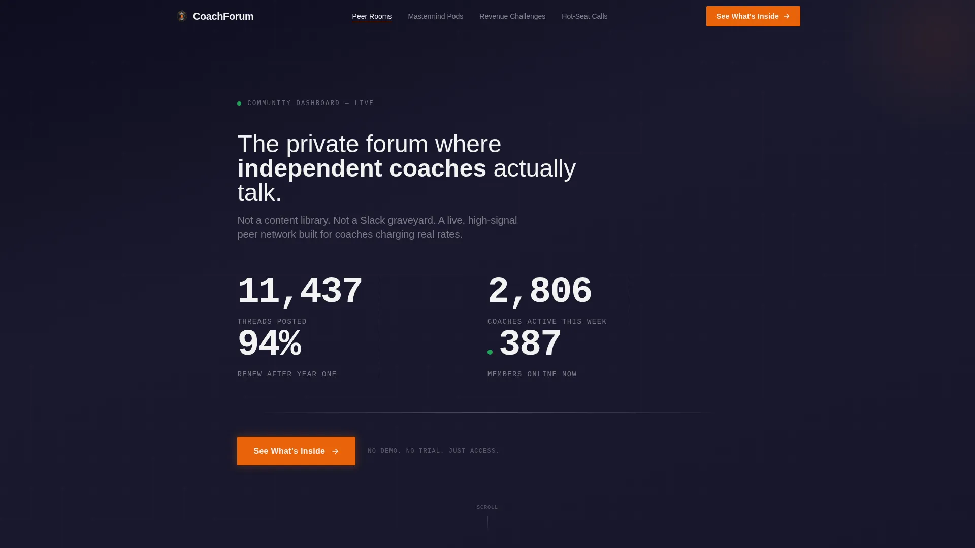 Coaching Digital Presence Professional Website Template