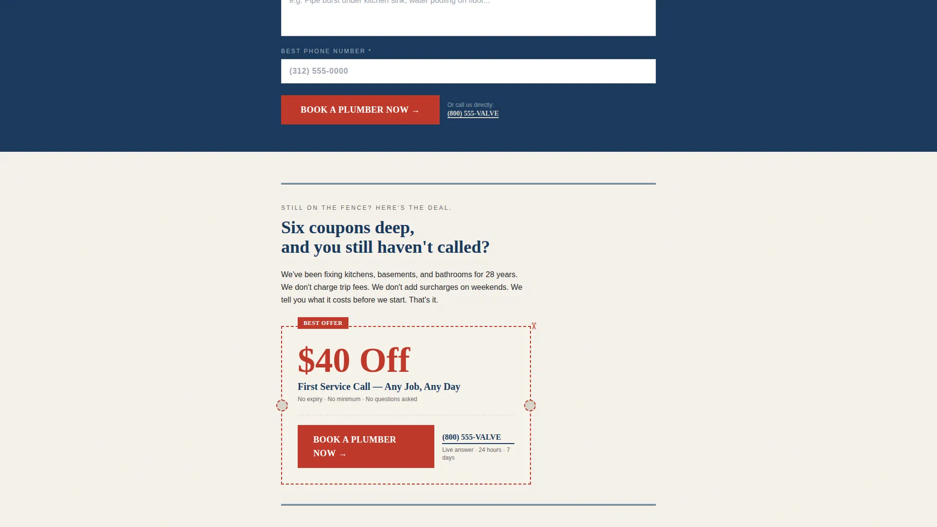 Plumber Coupon & Discount Landing Page Template