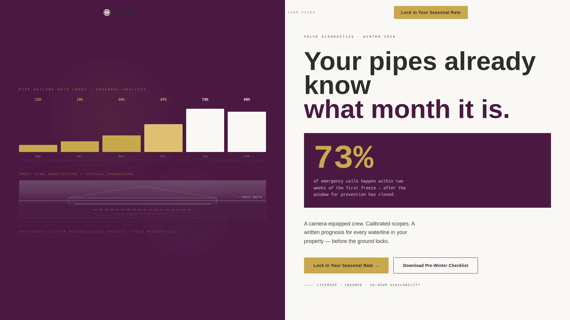 Plumber Seasonal Promotion Landing Page Template